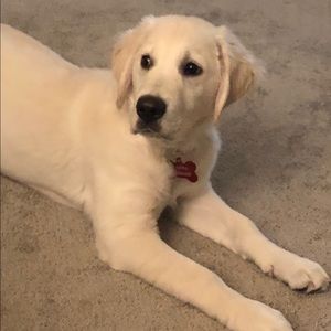 Meet your Posher, Kellie